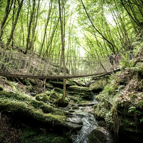 Butzerbachtal, © Dominik Ketz Eifel Touristmus Gmbh