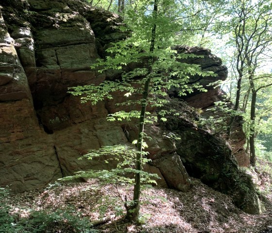 Wanderweg Trierweiler Sirzenich, © Deutsch Luxemburgische Tourist Information