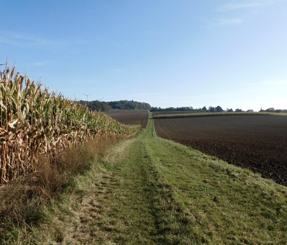 Trierweiler, © Deutsch Luxemburgische Tourist Info