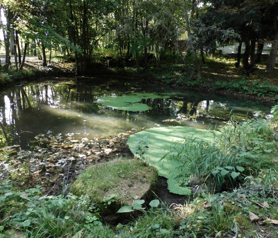 Park, © Deutsch-Luxemburgische Tourist-Information