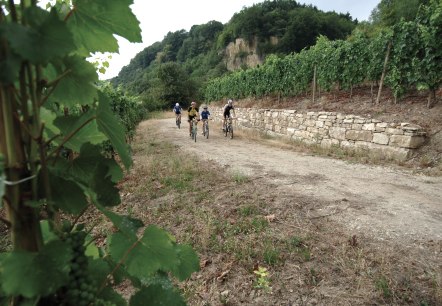 Mountain Bike Luxembourg, © Carlo Rinnen ORTM LFT