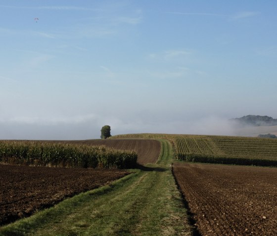 Trierweiler, © Deutsch Luxemburgische Tourist Info