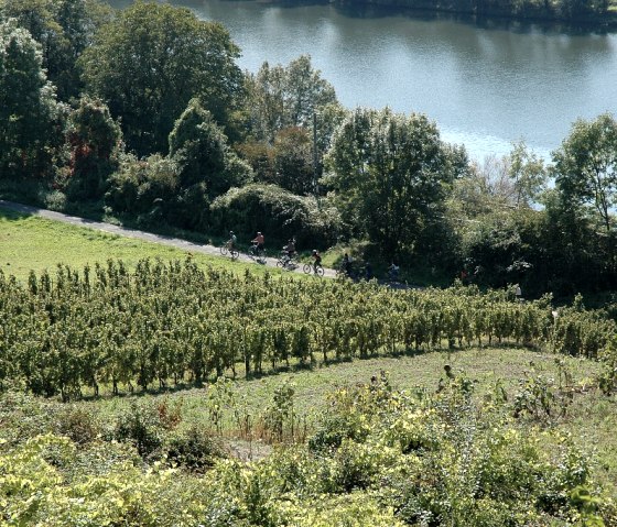 mosel-wein-kl, © Deutsch Luxemburgisches Tourist Info