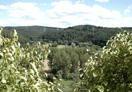 Butzerbachvalley - Forest, © Deutsch Luxemburgische Tourist Info