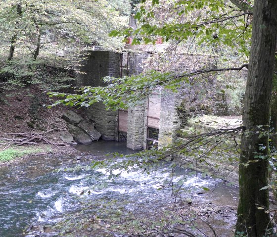 Lehrpfad, © Deutsch Luxemburgische Tourist Info