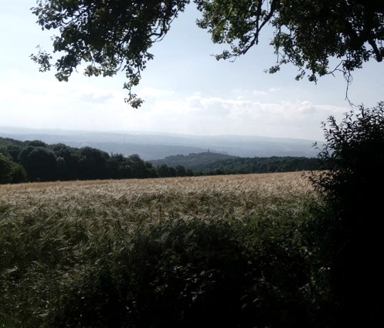 Blick_auf_Trier, © Monika Kunze