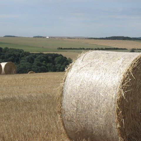 Manternach, © Deutsch Luxemburgische Tourist Info