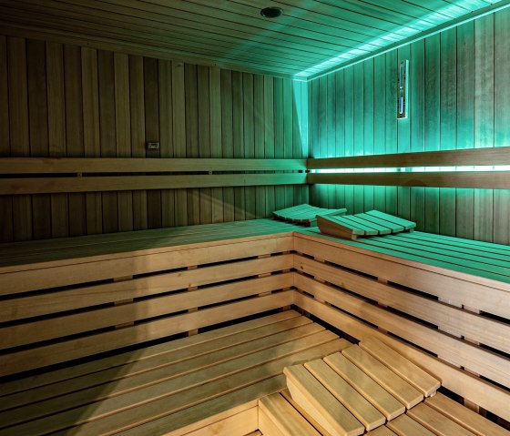 sauna_008