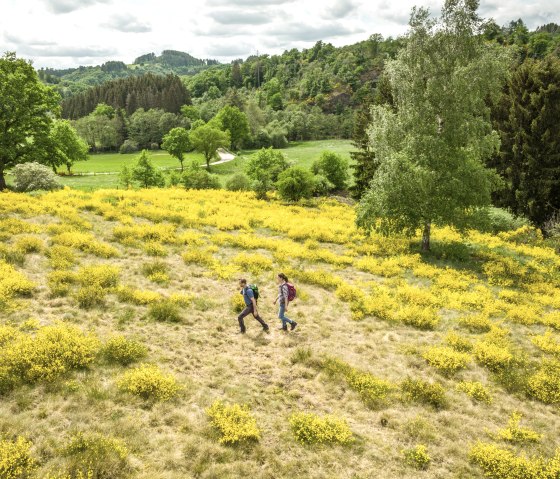 ET-2022-158-Naturwanderpark Deluxe, Eifel-Gold Route, Irsental bei Daleiden-© Eifel Tourismus GmbH, Dominik Ketz, © Eifel Tourismus GmbH, Dominik Ketz