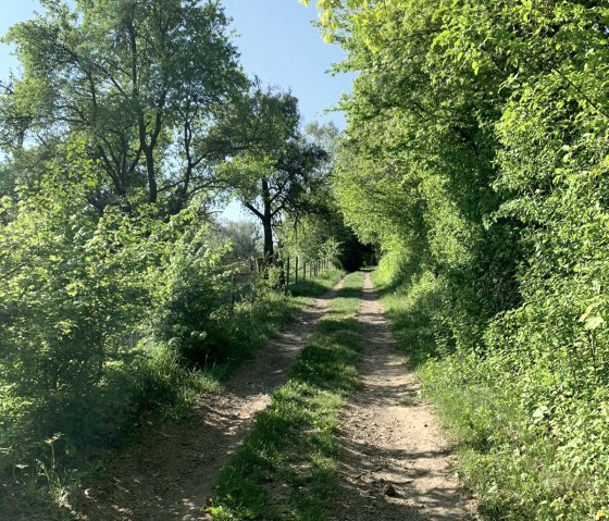 Wanderweg Trierweiler Sirzenich, © Deutsch Luxemburgische Tourist Information