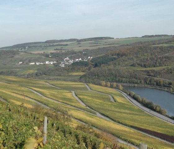 mosel-16, © Deutsch Luxemburgische Tourist Info