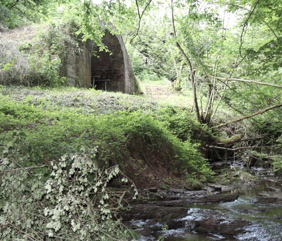 Wassertretbecken Weimersborn, © Deutsch Luxemburgische Tourist Info