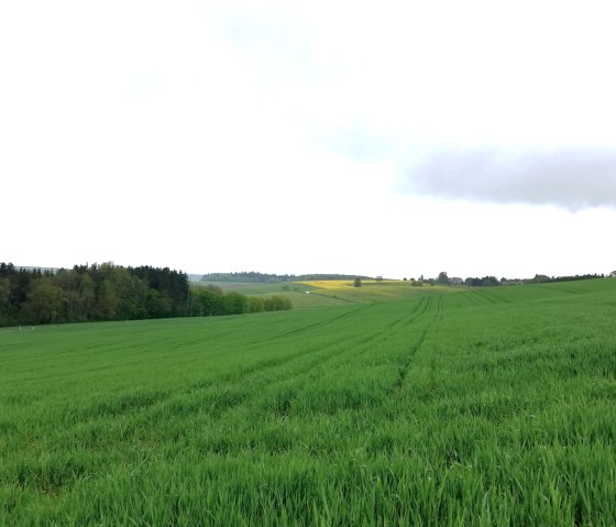 Vue à Hochweiler, © Deutsch-Luxemburgische Tourist-Info