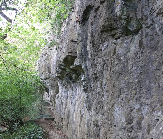 Traumschleife Manternacher Fiels, © Deutsch Luxemburgische Tourist Info