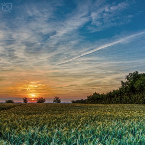 Zemmer-Rodt Aussichtsturm, © Deutsch-Luxemburgische Tourist-Information