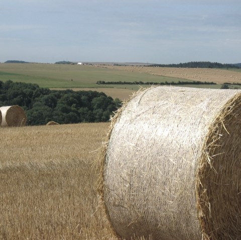 Heuballen, © Deutsch-Luxemburgische Tourist-Info