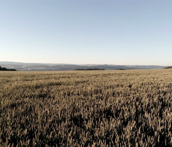 Sommerlicher_Blick_Hochwald, © Monika Kunze