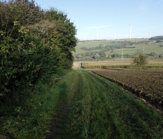 Trierweiler, © Deutsch Luxemburgische Tourist Info