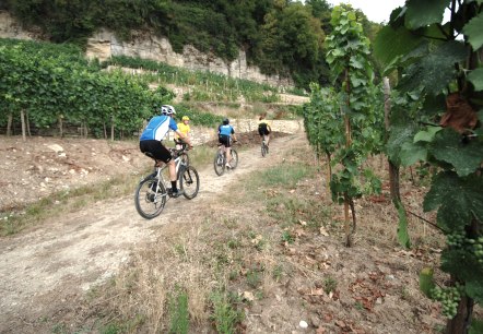 Mountain Bike, © Carlo Rinnen, ORTM, LFT