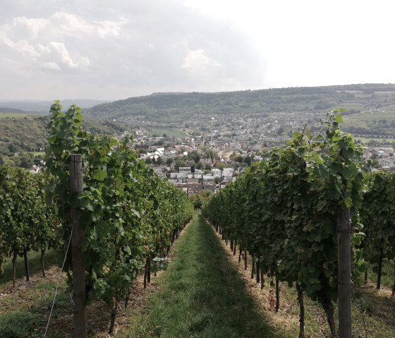 Weinberge, © Deutsch-Luxemburgische Tourist-Information