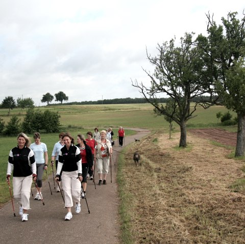 Nordic Walking „Friedbüsch“, © Deutsch Luxemburgische Tourist Info