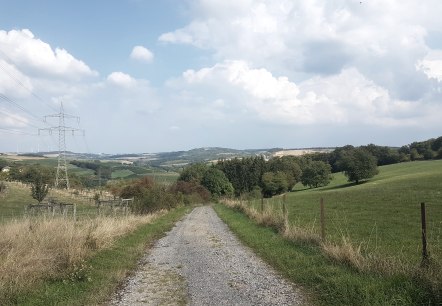 wanderweg-wasserbillig-e-6, © Deutsch Luxemburgische Tourist Information