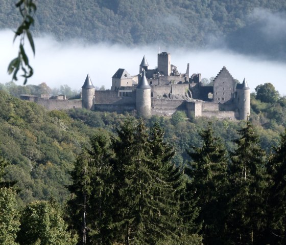 © Amis du Château de Bourscheid asbl