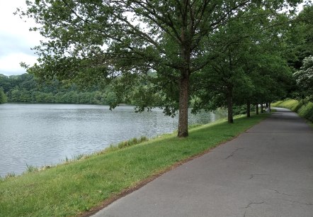 Barrierefreier Weg am Stausee Bitburg, © Naturpark Südeifel