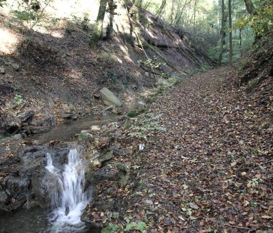 Naturpark Südeifel 70, © Reinhold Hansen