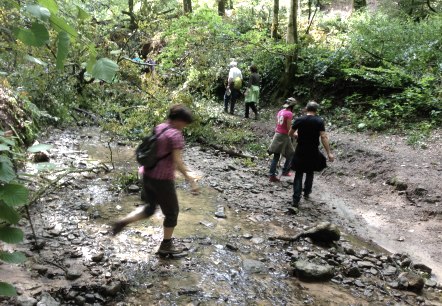 brook near Sirzenich, © Deutsch Luxemburgische Tourist Info