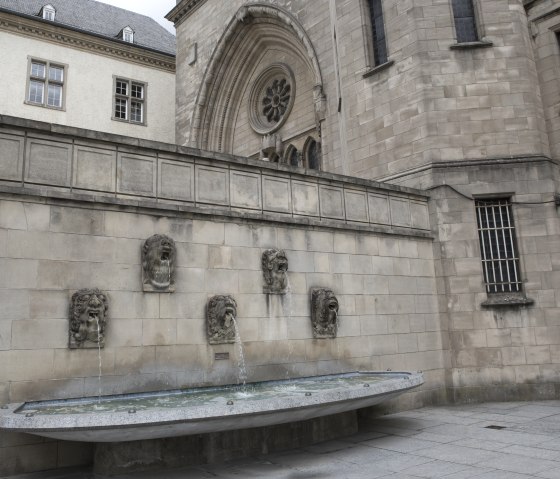 Notre Dame, © Exclusief.be / LFT