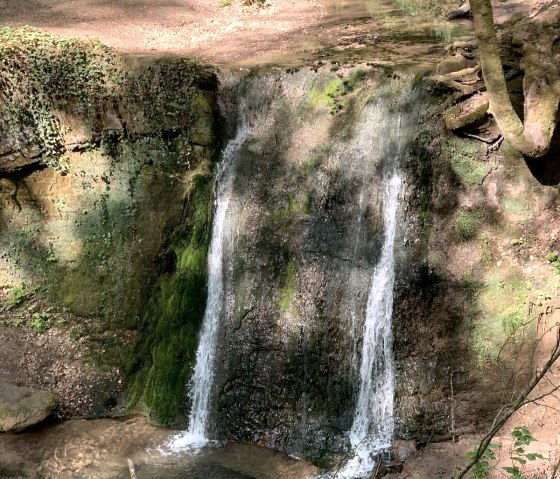 Wanderweg Trierweiler Sirzenich, © Deutsch Luxemburgische Tourist Information