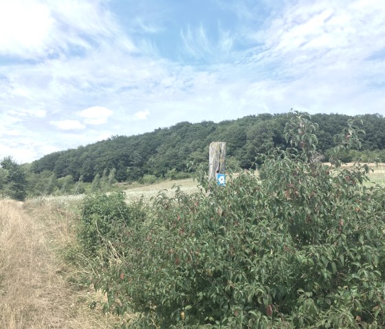 wasserbillig-f, © Deutsch Luxemburgische Tourist info