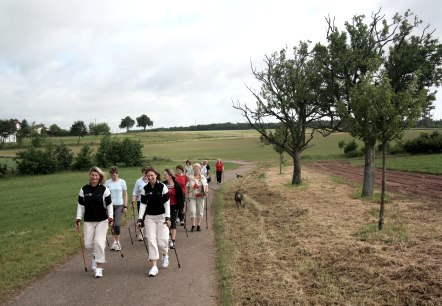 Nordic Walking „Friedbüsch“, © Deutsch Luxemburgische Tourist Info